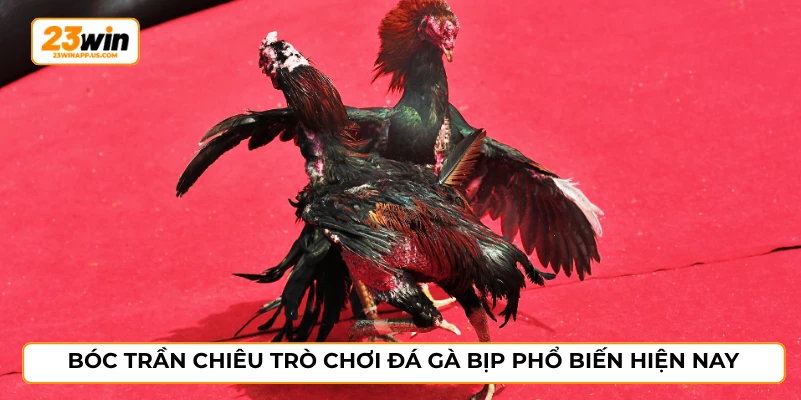 Bóc trần chiêu trò chơi đá gà bịp phổ biến hiện nay