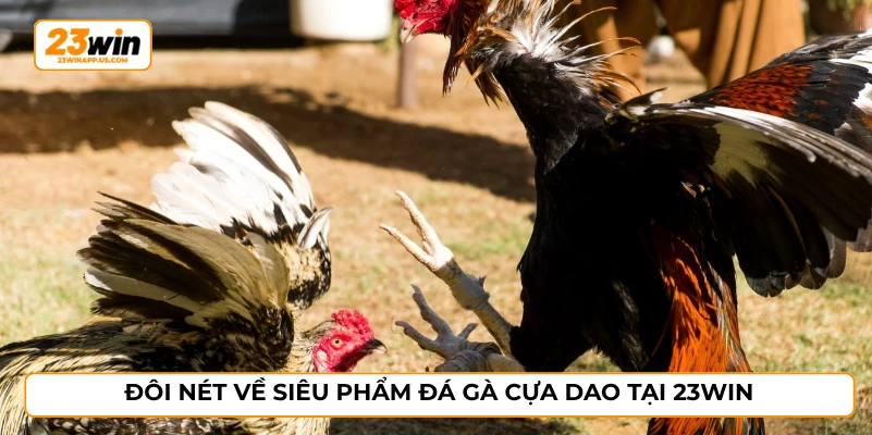 Đôi nét về siêu phẩm đá gà cựa dao tại 23WIN
