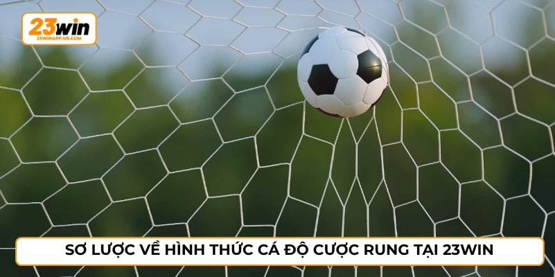 Sơ lược về hình thức cá độ cược rung tại 23WIN