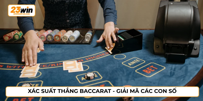 Xác suất thắng baccarat - Giải mã các con số